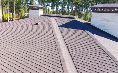 Looking for Asphalt Shingle Roof Replacement Experts?
